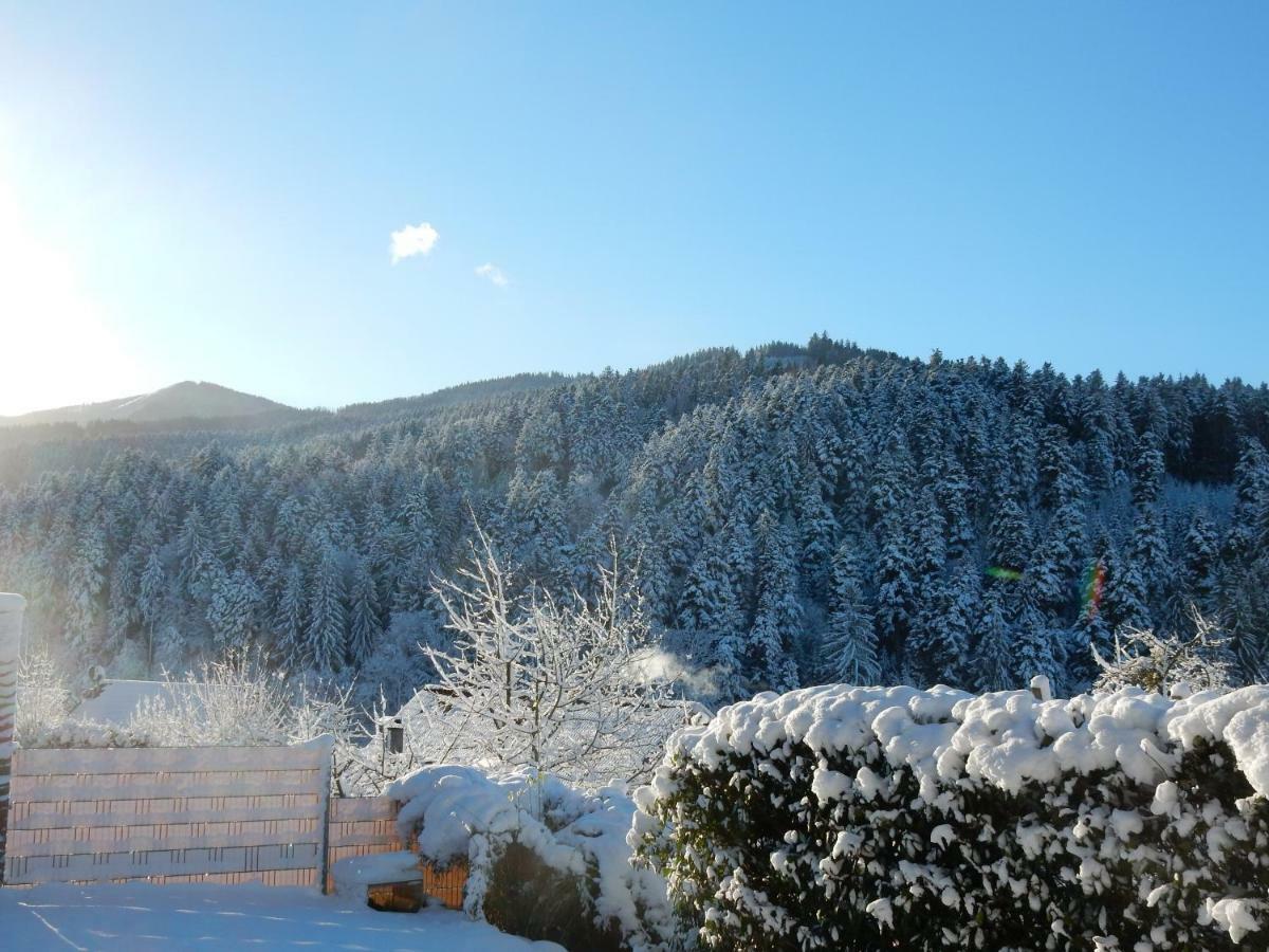 Weitblick "Entspannen - Wohlfuehlen - Aktiv Erholen" Elzach Exterior photo
