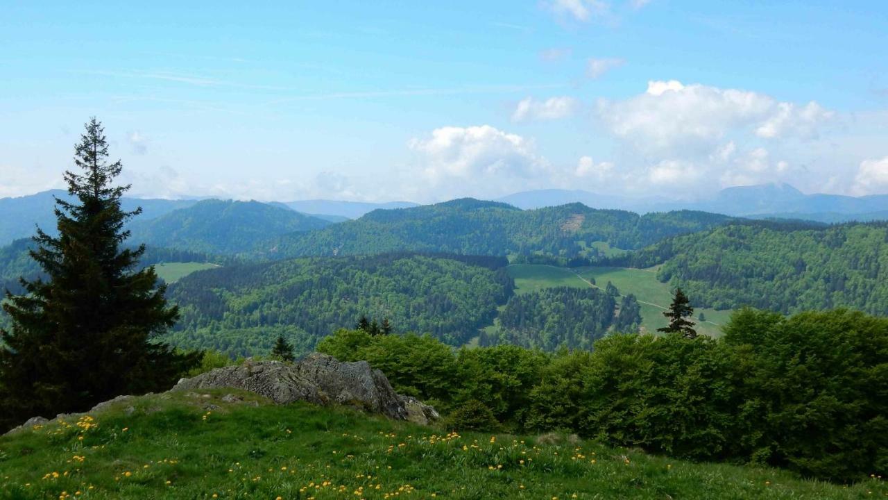 Weitblick "Entspannen - Wohlfuehlen - Aktiv Erholen" Elzach Exterior photo