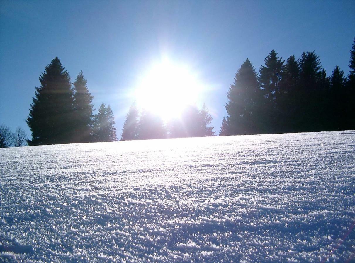 Weitblick "Entspannen - Wohlfuehlen - Aktiv Erholen" Elzach Exterior photo