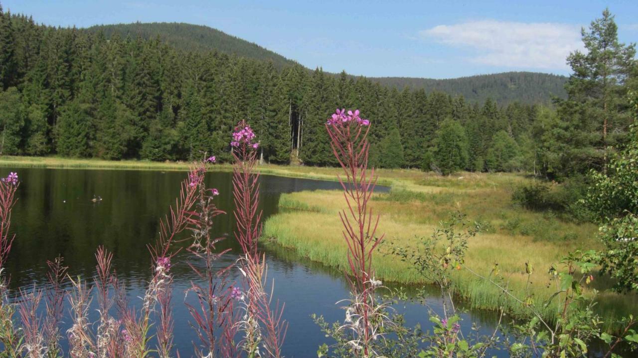Weitblick "Entspannen - Wohlfuehlen - Aktiv Erholen" Elzach Exterior photo
