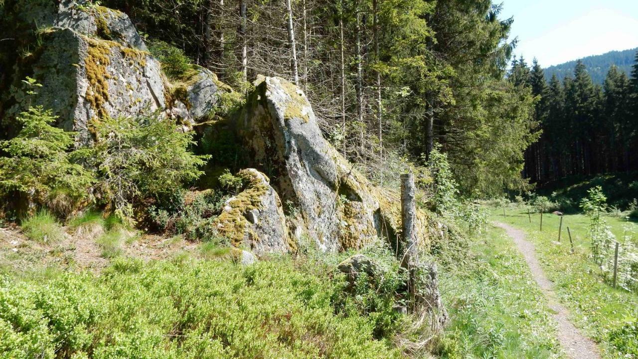 Weitblick "Entspannen - Wohlfuehlen - Aktiv Erholen" Elzach Exterior photo